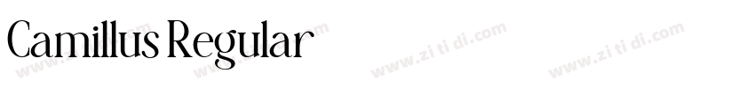 Camillus Regular字体转换 Camillus Regular字体转换